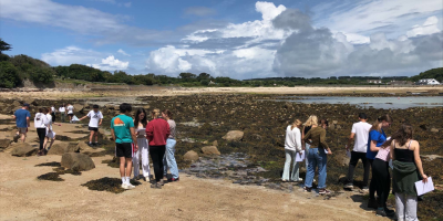 Fieldwork and Fin Whales: An Immersive Biology Trip to the Isles of Scilly