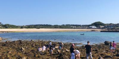 Biodiversity and Ecology in the Scilly Isles