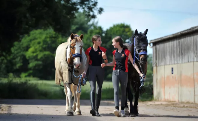 Equestrian