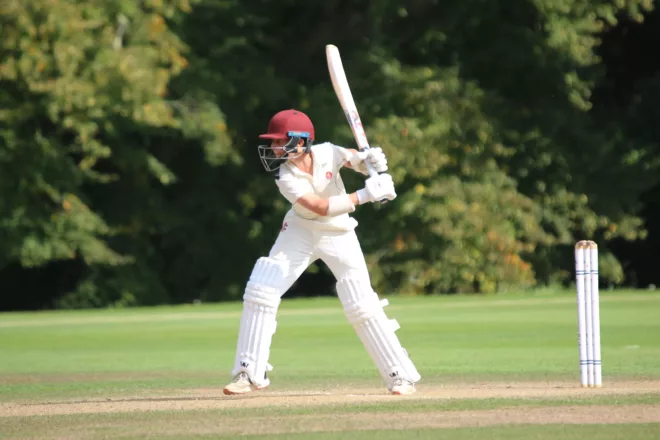 Cricket