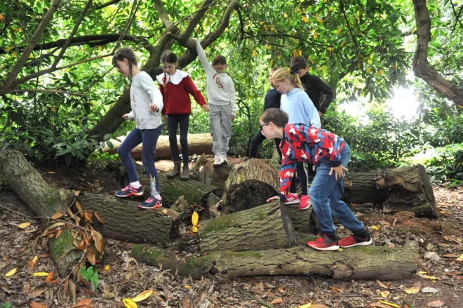 Woodlands Adventure Summer Holiday Camp